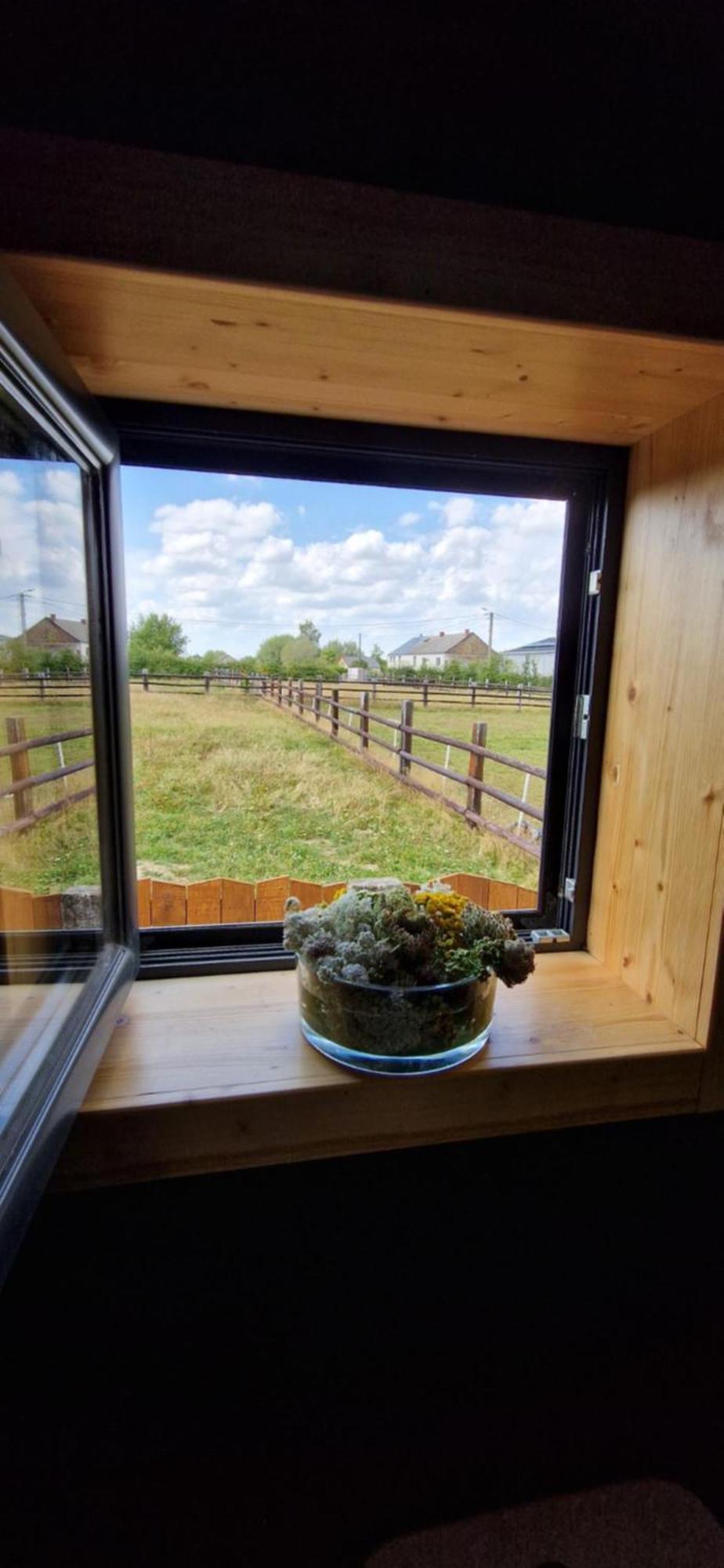 Les Tiny Du Pre Mathy - Logements Insolites Avec Jacuzzi A Profondeville Room photo